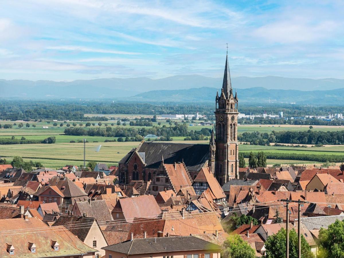 Charming Gite In Dambach La Ville With Terrace Esterno foto