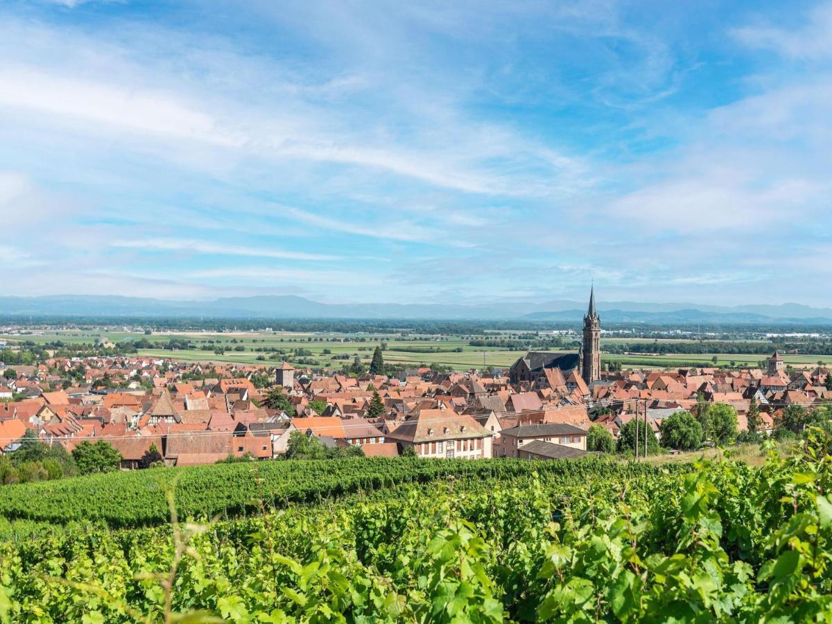 Charming Gite In Dambach La Ville With Terrace Esterno foto